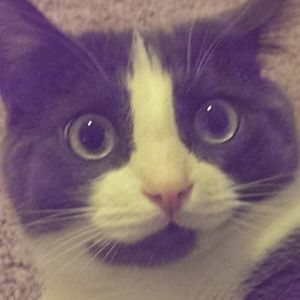 Meet your Posher, Stephen